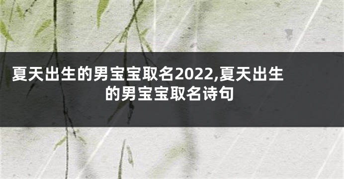 夏天出生的男宝宝取名2022,夏天出生的男宝宝取名诗句