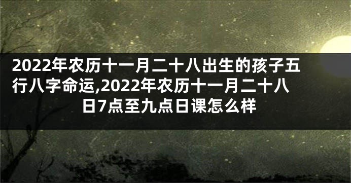 2022年农历十一月二十八出生的孩子五行八字命运,2022年农历十一月二十八日7点至九点日课怎么样