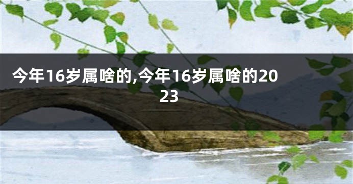 今年16岁属啥的,今年16岁属啥的2023