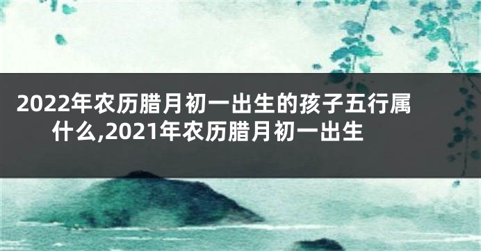 2022年农历腊月初一出生的孩子五行属什么,2021年农历腊月初一出生