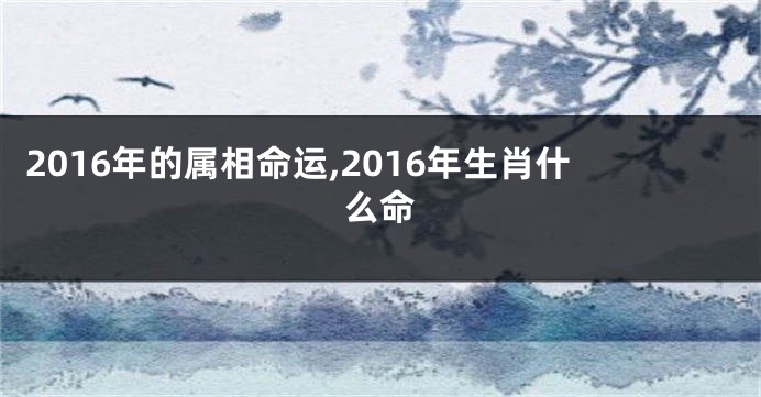 2016年的属相命运,2016年生肖什么命
