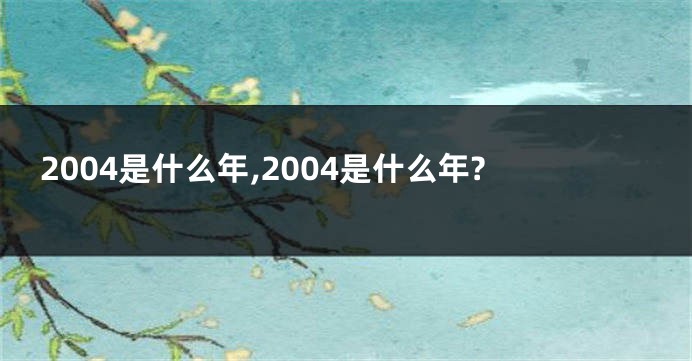2004是什么年,2004是什么年?