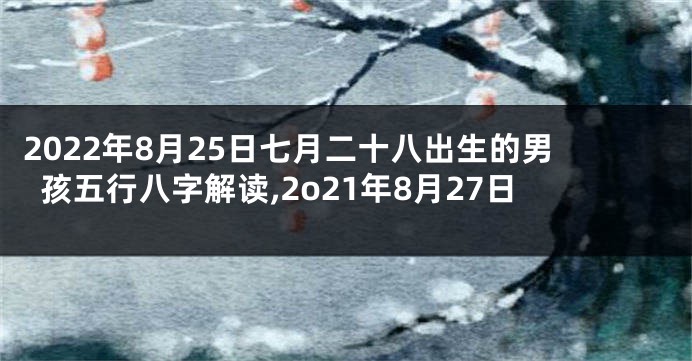 2022年8月25日七月二十八出生的男孩五行八字解读,2o21年8月27日