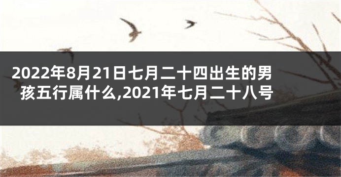 2022年8月21日七月二十四出生的男孩五行属什么,2021年七月二十八号