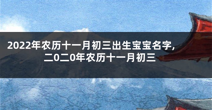 2022年农历十一月初三出生宝宝名字,二0二0年农历十一月初三