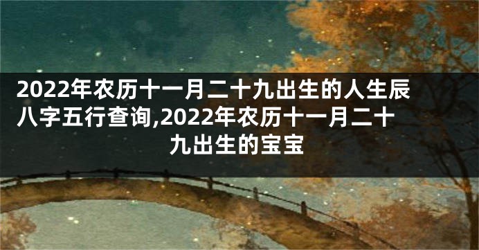 2022年农历十一月二十九出生的人生辰八字五行查询,2022年农历十一月二十九出生的宝宝