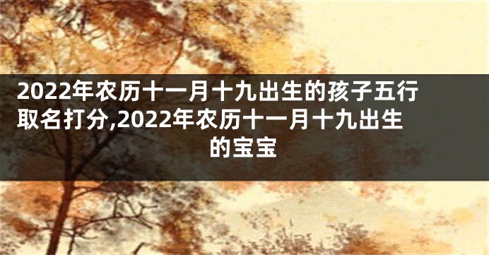 2022年农历十一月十九出生的孩子五行取名打分,2022年农历十一月十九出生的宝宝