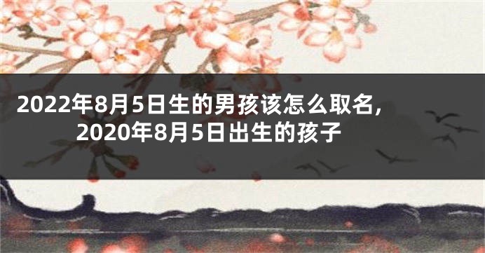 2022年8月5日生的男孩该怎么取名,2020年8月5日出生的孩子