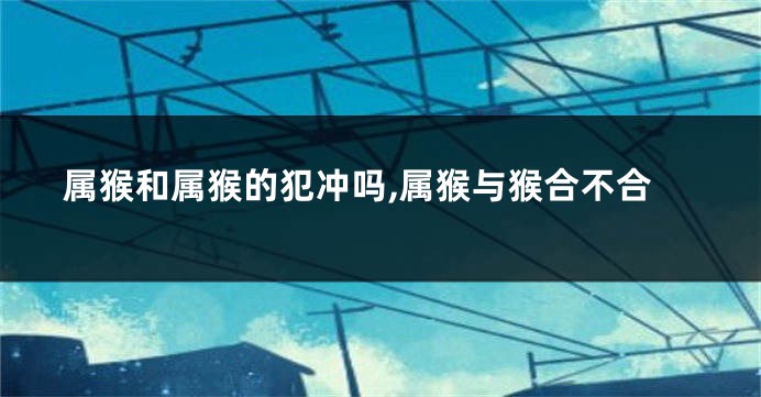 属猴和属猴的犯冲吗,属猴与猴合不合
