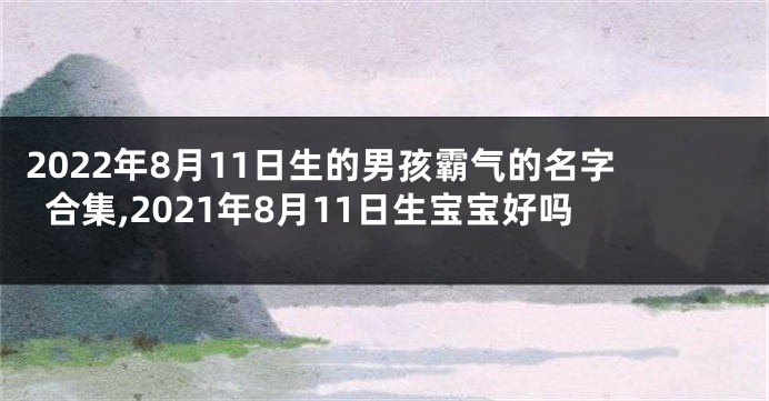 2022年8月11日生的男孩霸气的名字合集,2021年8月11日生宝宝好吗