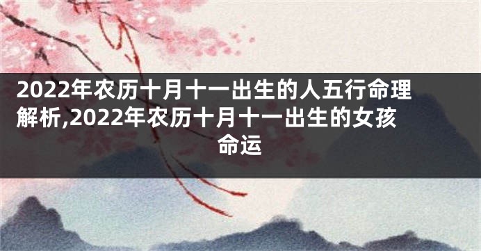 2022年农历十月十一出生的人五行命理解析,2022年农历十月十一出生的女孩命运