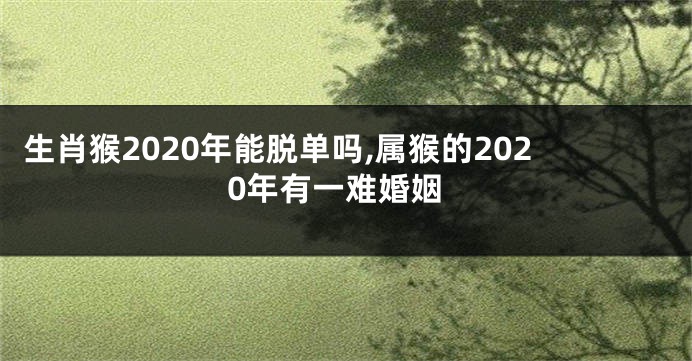 生肖猴2020年能脱单吗,属猴的2020年有一难婚姻