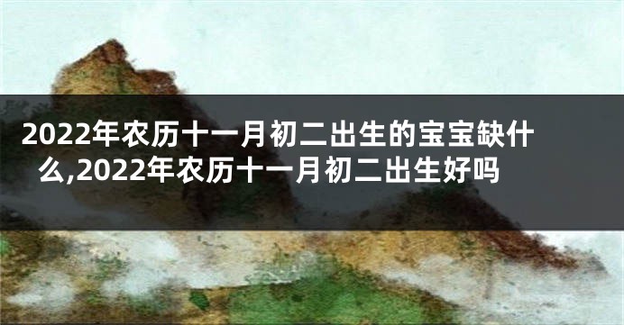 2022年农历十一月初二出生的宝宝缺什么,2022年农历十一月初二出生好吗