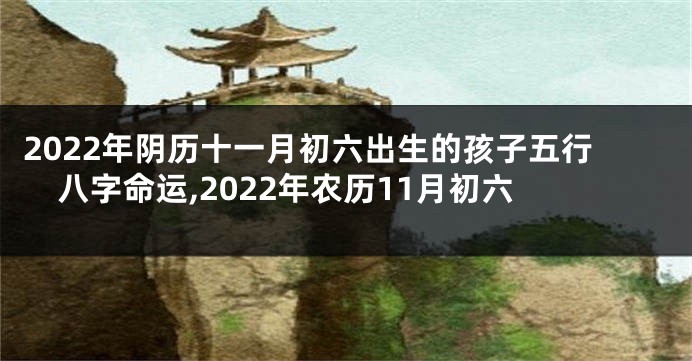 2022年阴历十一月初六出生的孩子五行八字命运,2022年农历11月初六