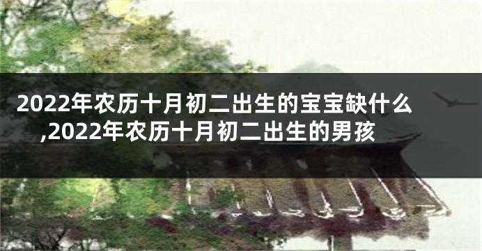 2022年农历十月初二出生的宝宝缺什么,2022年农历十月初二出生的男孩