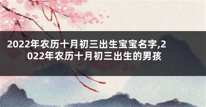 2022年农历十月初三出生宝宝名字,2022年农历十月初三出生的男孩
