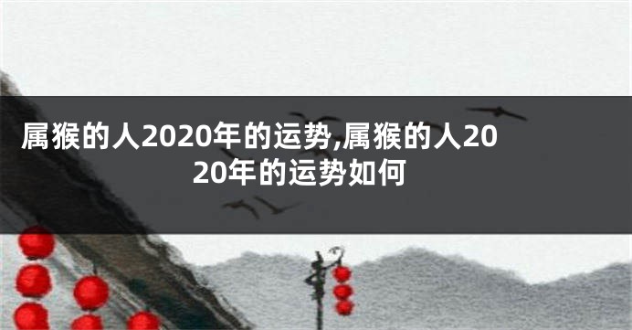属猴的人2020年的运势,属猴的人2020年的运势如何