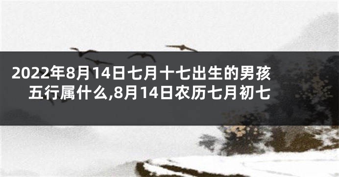 2022年8月14日七月十七出生的男孩五行属什么,8月14日农历七月初七