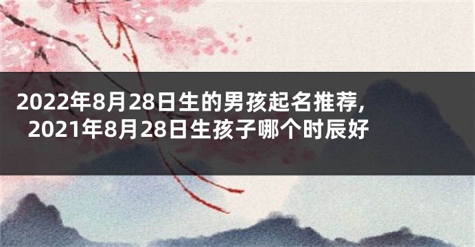 2022年8月28日生的男孩起名推荐,2021年8月28日生孩子哪个时辰好