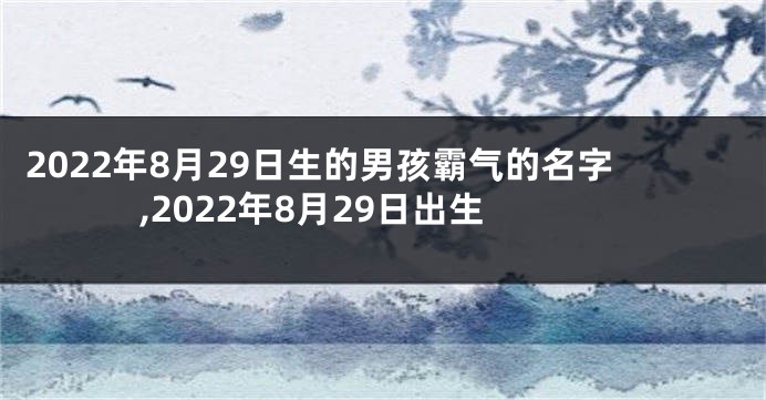 2022年8月29日生的男孩霸气的名字,2022年8月29日出生