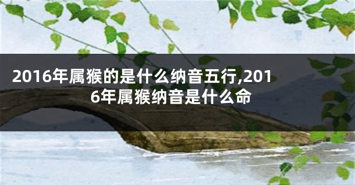 2016年属猴的是什么纳音五行,2016年属猴纳音是什么命