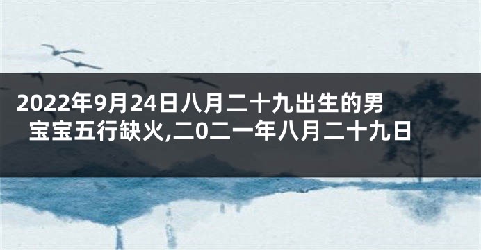 2022年9月24日八月二十九出生的男宝宝五行缺火,二0二一年八月二十九日