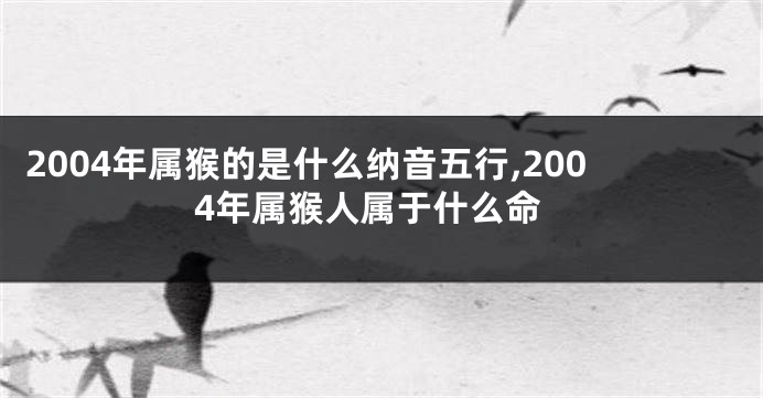 2004年属猴的是什么纳音五行,2004年属猴人属于什么命