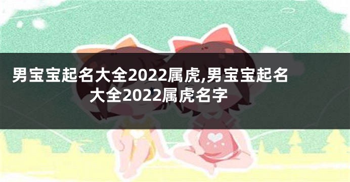 男宝宝起名大全2022属虎,男宝宝起名大全2022属虎名字
