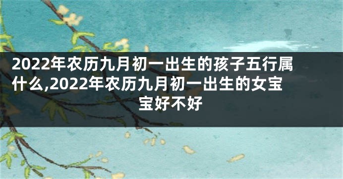 2022年农历九月初一出生的孩子五行属什么,2022年农历九月初一出生的女宝宝好不好
