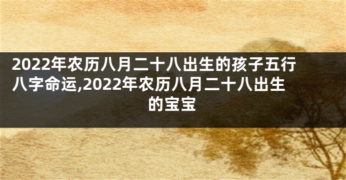 2022年农历八月二十八出生的孩子五行八字命运,2022年农历八月二十八出生的宝宝