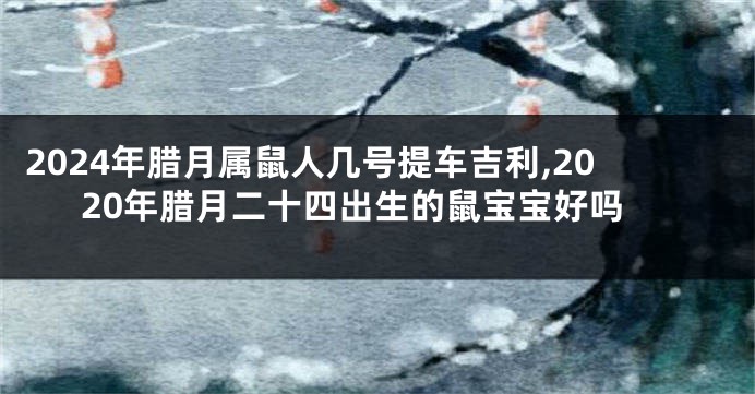 2024年腊月属鼠人几号提车吉利,2020年腊月二十四出生的鼠宝宝好吗