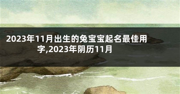 2023年11月出生的兔宝宝起名最佳用字,2023年阴历11月