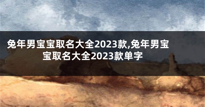 兔年男宝宝取名大全2023款,兔年男宝宝取名大全2023款单字