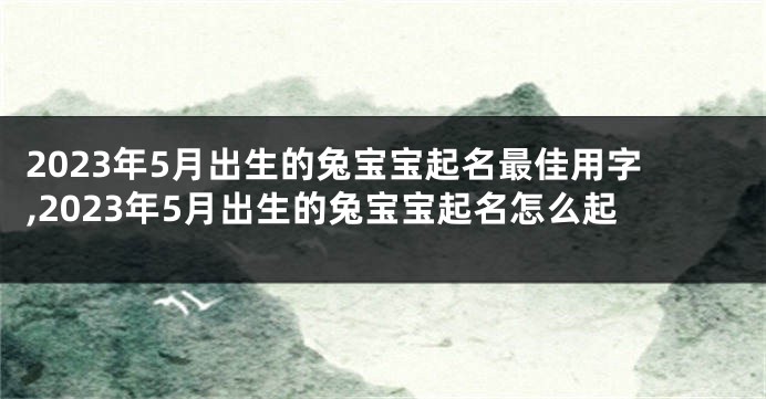 2023年5月出生的兔宝宝起名最佳用字,2023年5月出生的兔宝宝起名怎么起