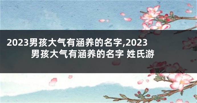 2023男孩大气有涵养的名字,2023男孩大气有涵养的名字 姓氏游