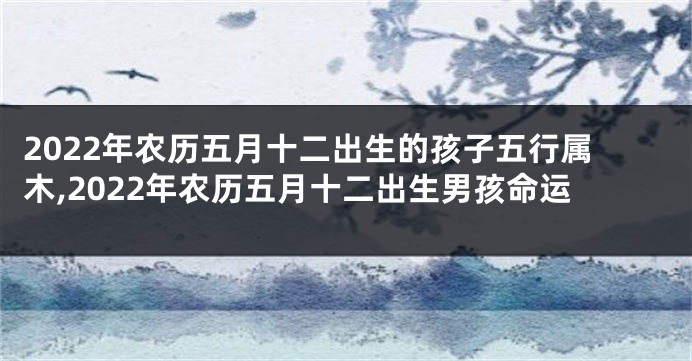 2022年农历五月十二出生的孩子五行属木,2022年农历五月十二出生男孩命运