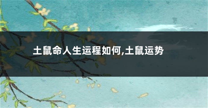土鼠命人生运程如何,土鼠运势