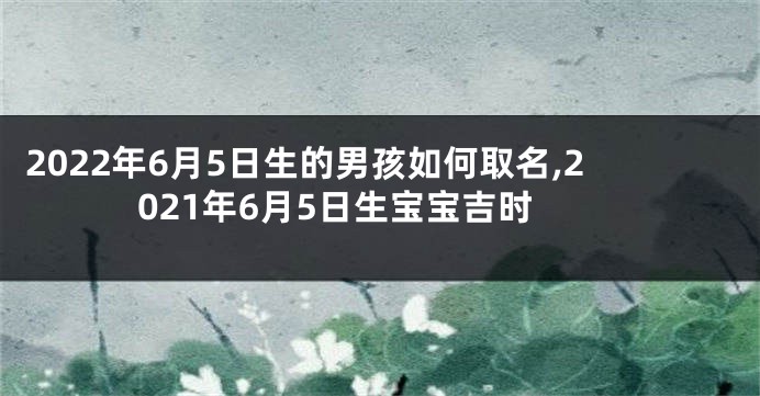 2022年6月5日生的男孩如何取名,2021年6月5日生宝宝吉时