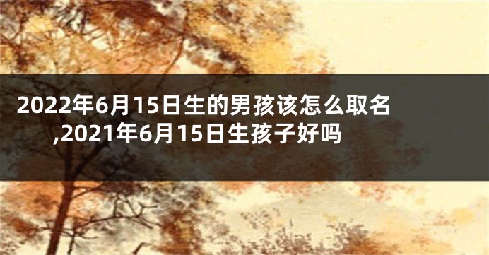 2022年6月15日生的男孩该怎么取名,2021年6月15日生孩子好吗
