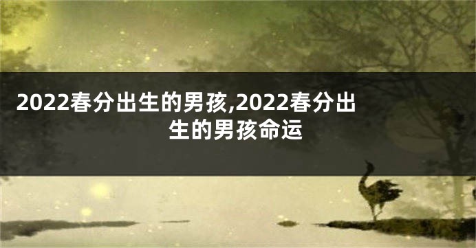 2022春分出生的男孩,2022春分出生的男孩命运