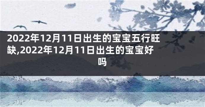 2022年12月11日出生的宝宝五行旺缺,2022年12月11日出生的宝宝好吗