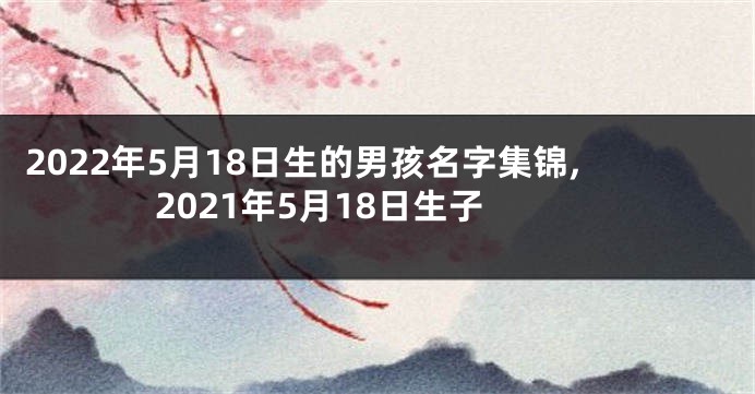 2022年5月18日生的男孩名字集锦,2021年5月18日生子