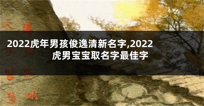 2022虎年男孩俊逸清新名字,2022虎男宝宝取名字最佳字