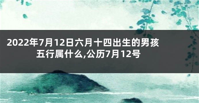2022年7月12日六月十四出生的男孩五行属什么,公历7月12号