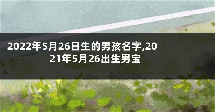 2022年5月26日生的男孩名字,2021年5月26出生男宝