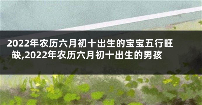 2022年农历六月初十出生的宝宝五行旺缺,2022年农历六月初十出生的男孩