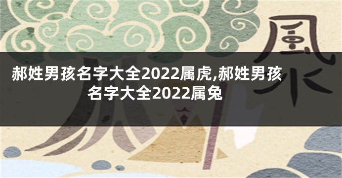 郝姓男孩名字大全2022属虎,郝姓男孩名字大全2022属兔