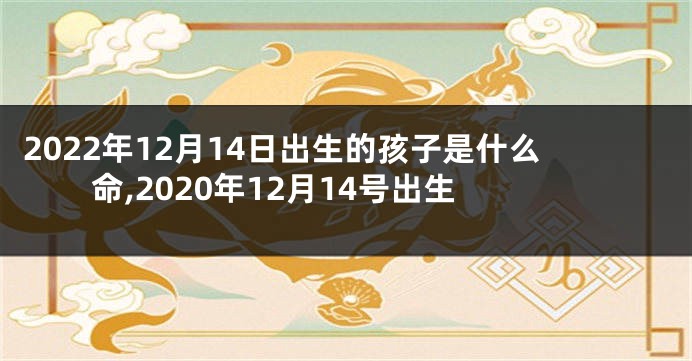 2022年12月14日出生的孩子是什么命,2020年12月14号出生