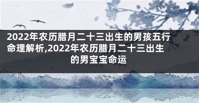 2022年农历腊月二十三出生的男孩五行命理解析,2022年农历腊月二十三出生的男宝宝命运