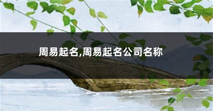 周易起名,周易起名公司名称